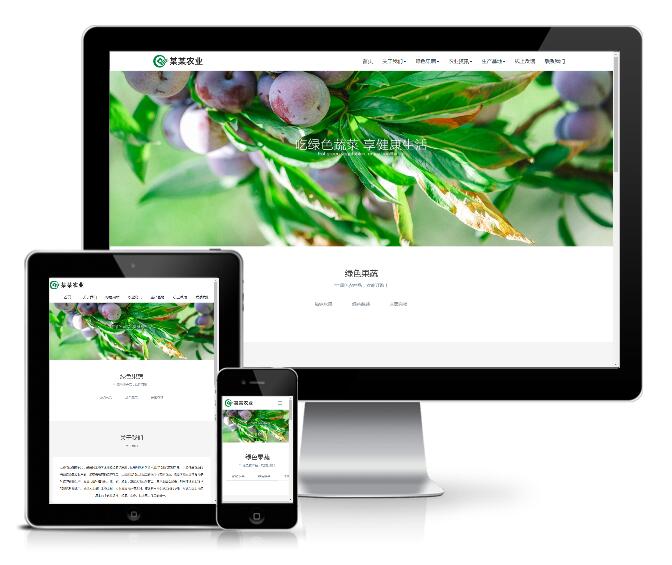 响应式生态水果蔬菜类网站模板展示图